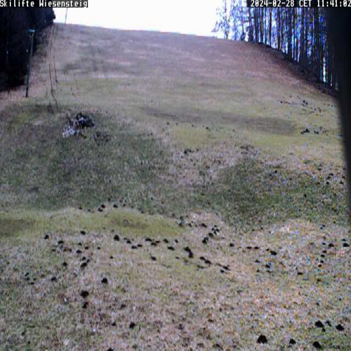 Schallstadt webcam