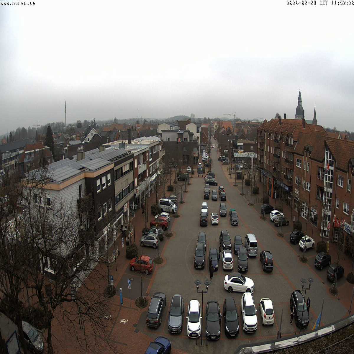 Reppenstedt webcam