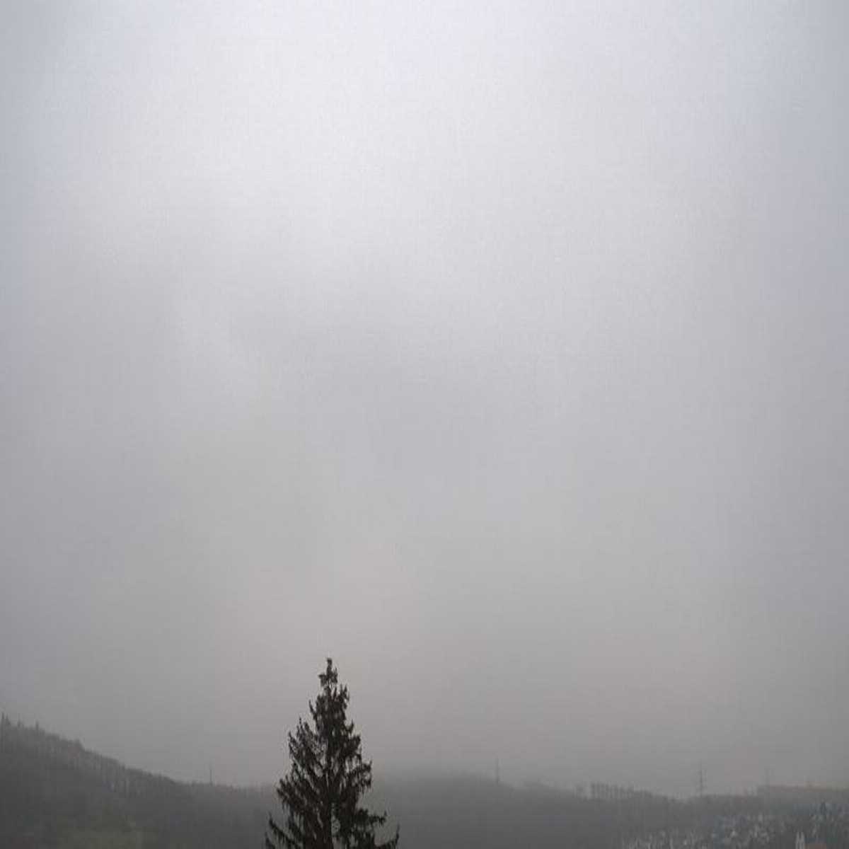 Riesenbeck webcam