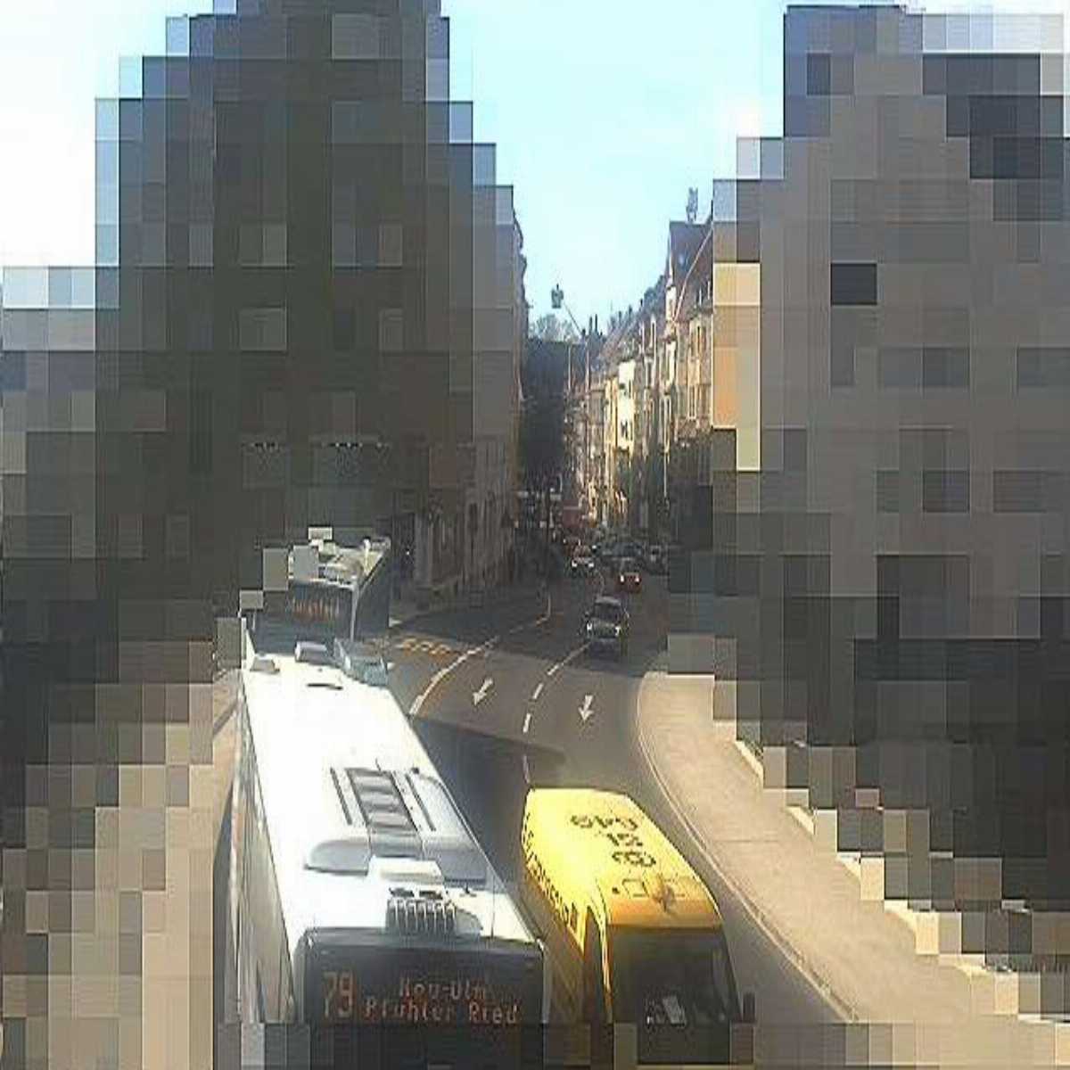 Zachenberg webcam