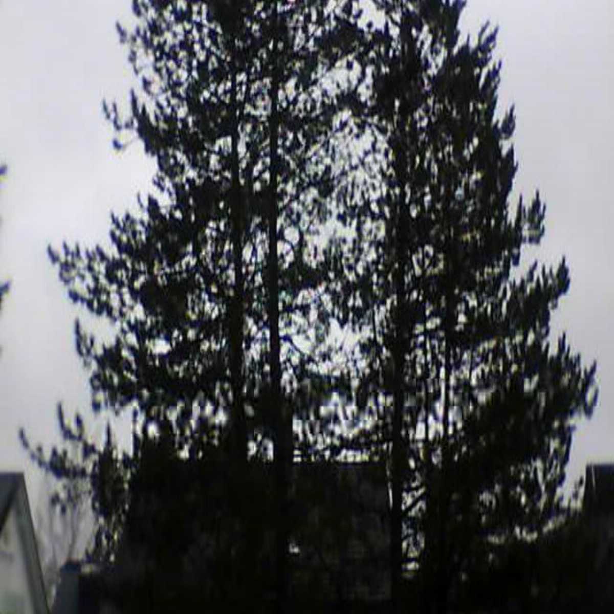 Zachenberg webcam
