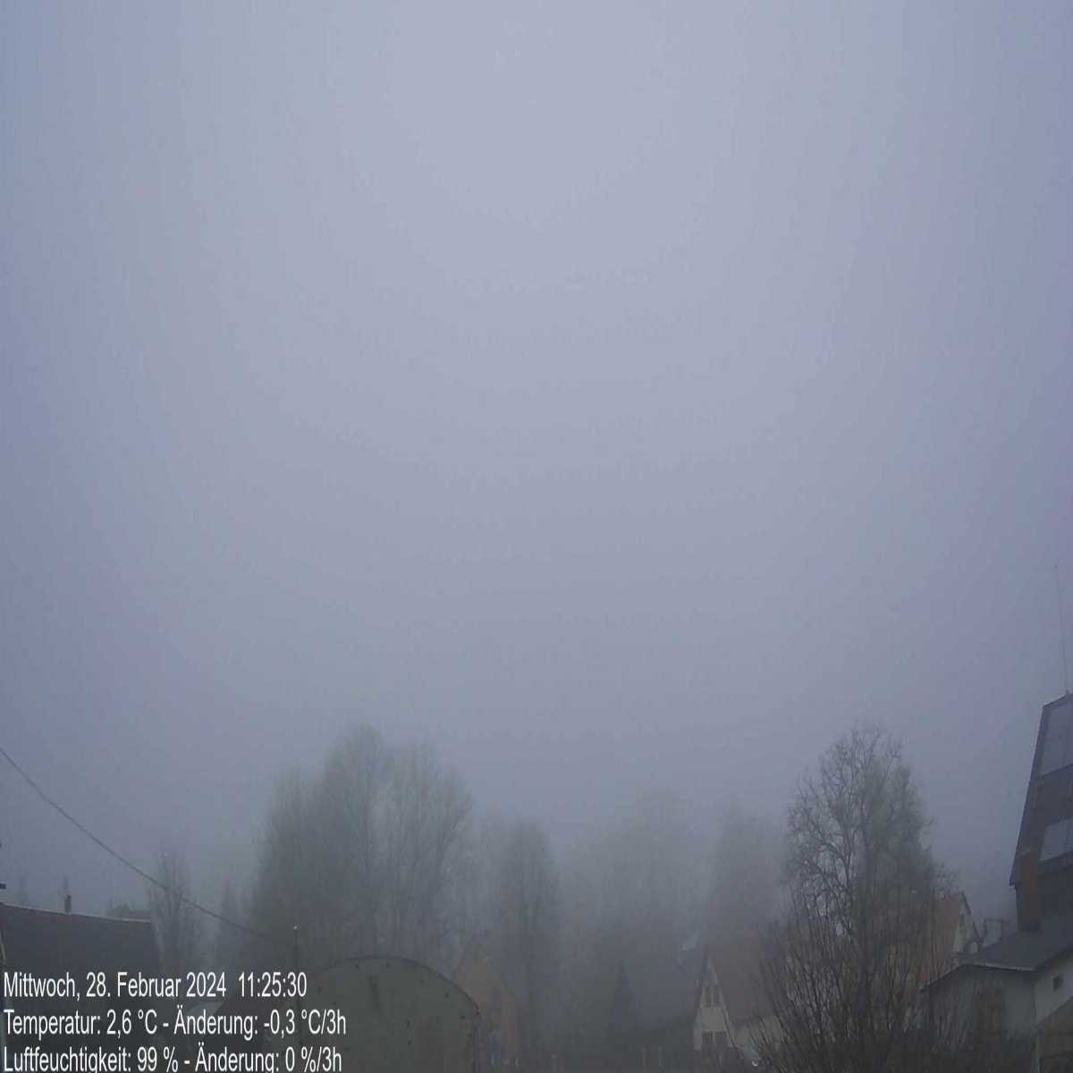 Klingenberg webcam