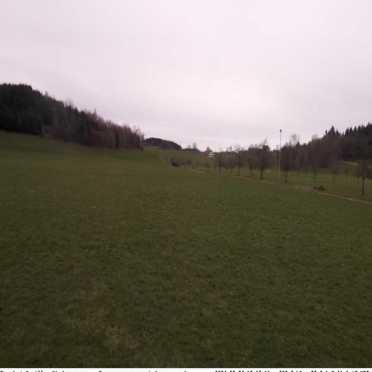 Schallstadt webcam
