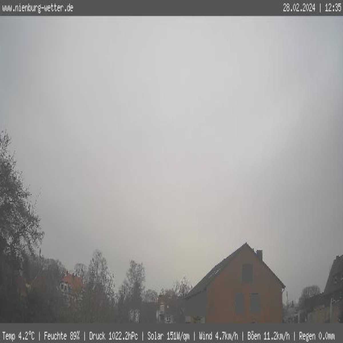 Reppenstedt webcam