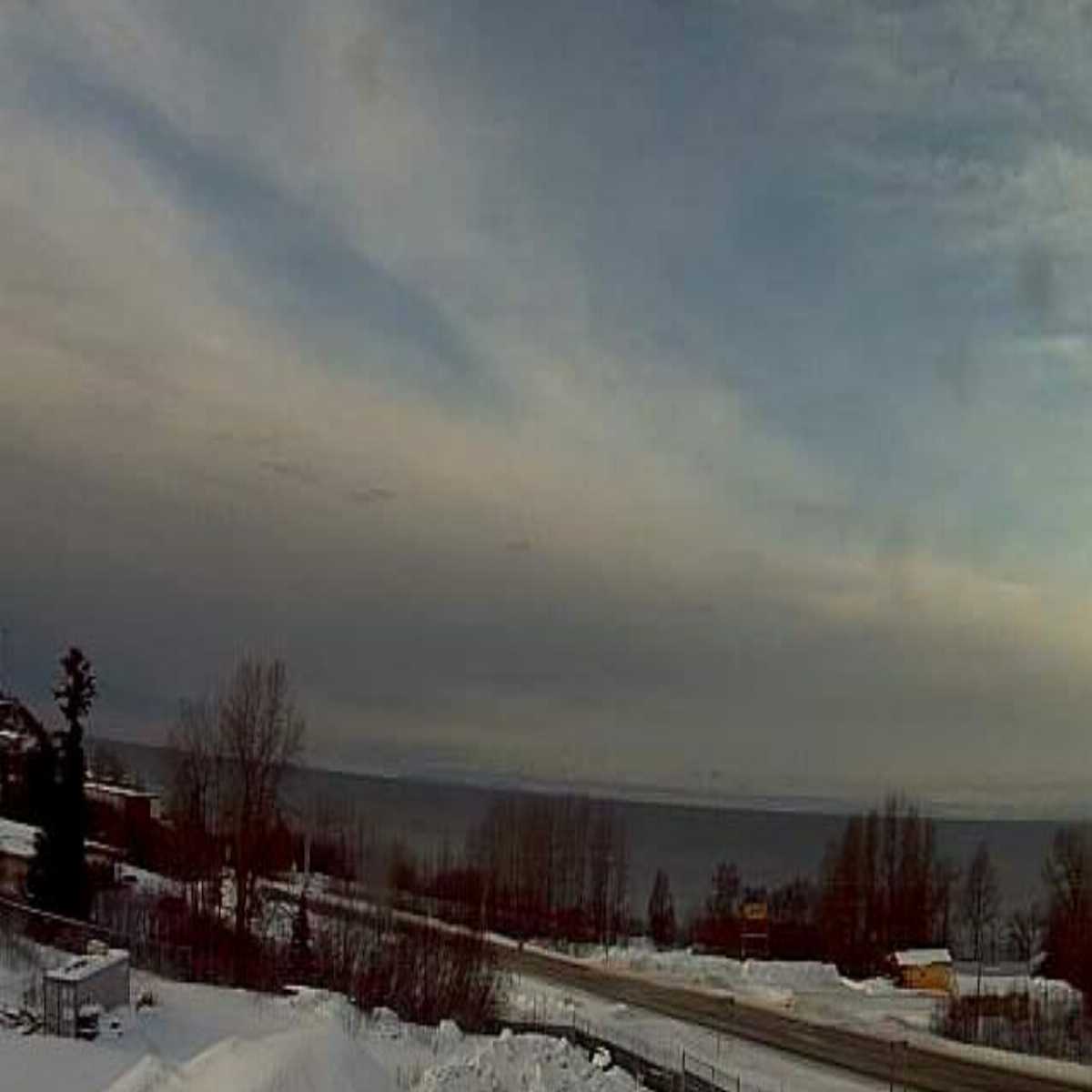 Homer webcam