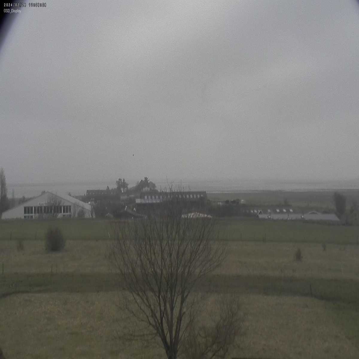 Reinbek webcam