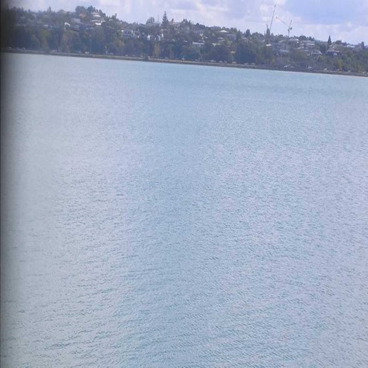 Puhinui webcam