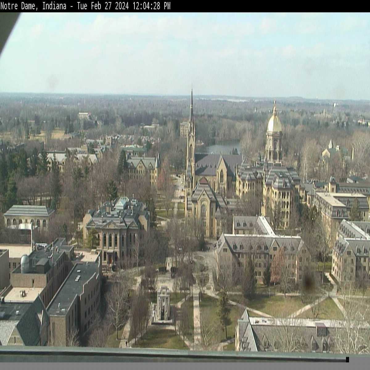 Notre Dame webcam