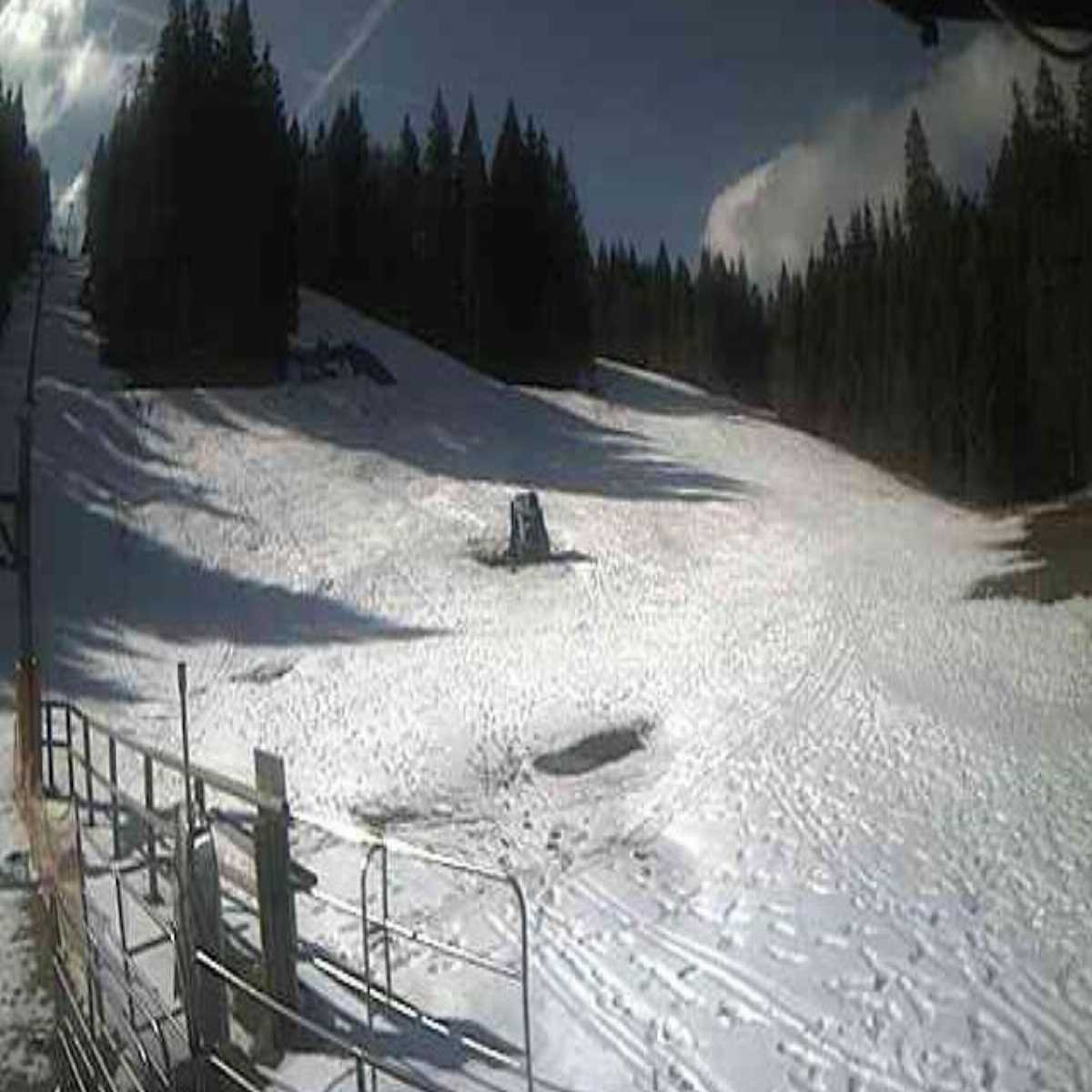 Schallstadt webcam