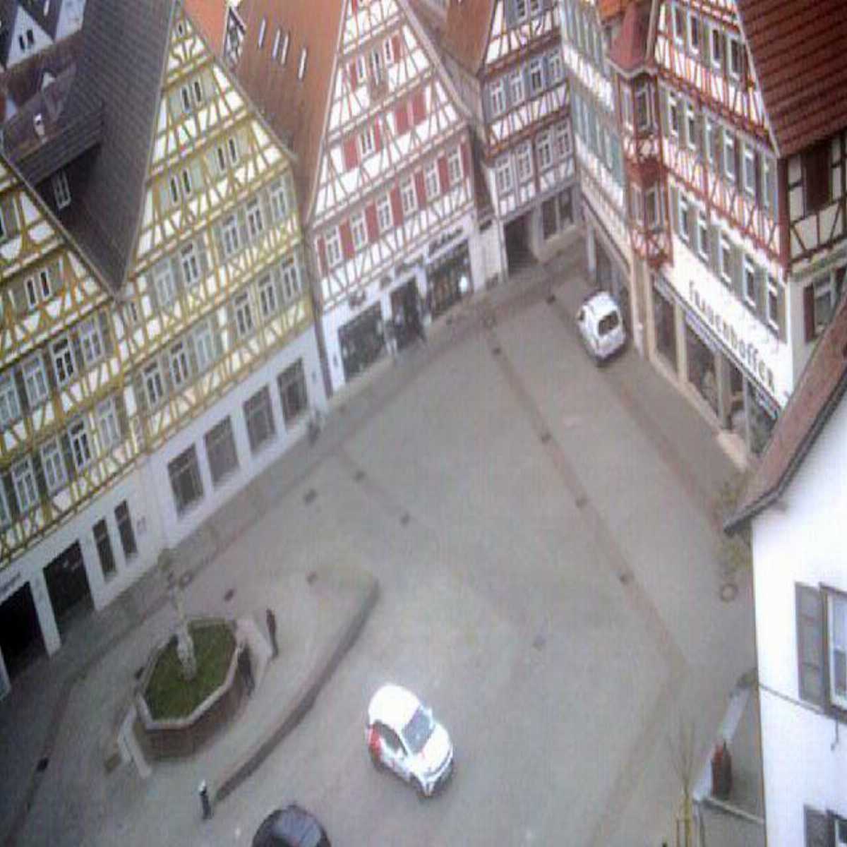 Schallstadt webcam