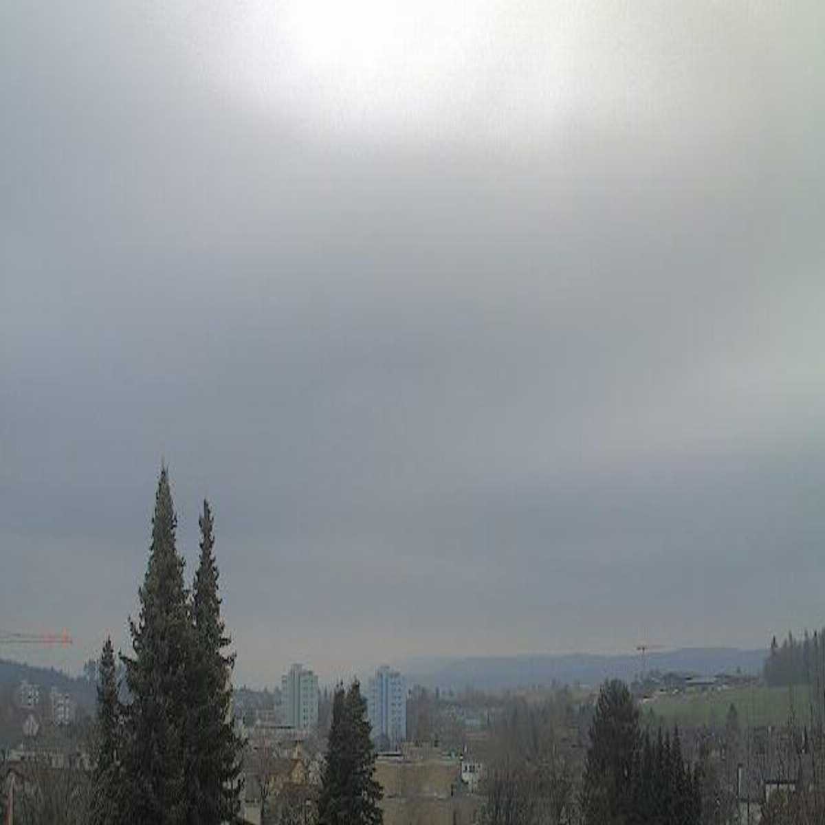 Richterswil webcam