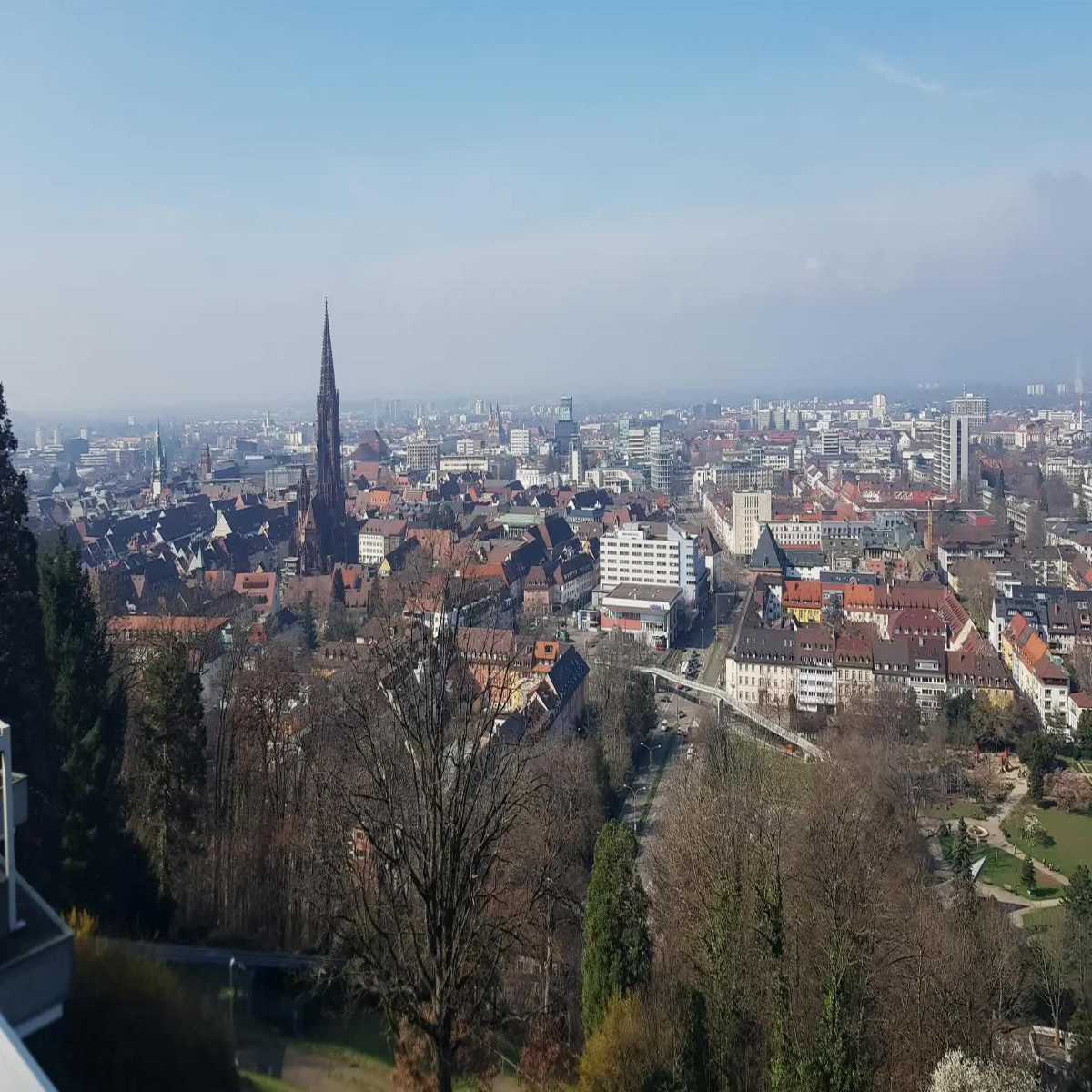 Schallstadt webcam