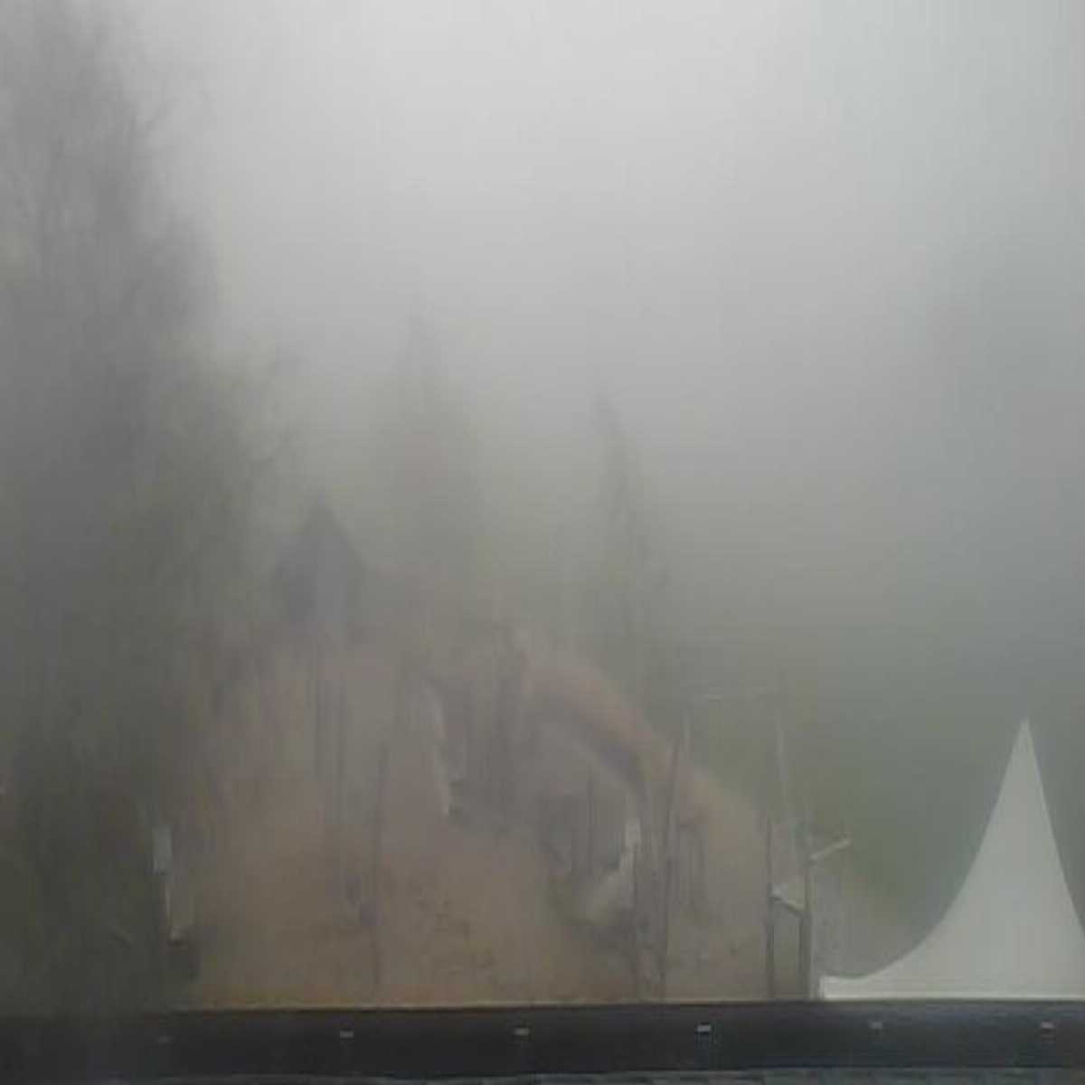 Alpthal webcam