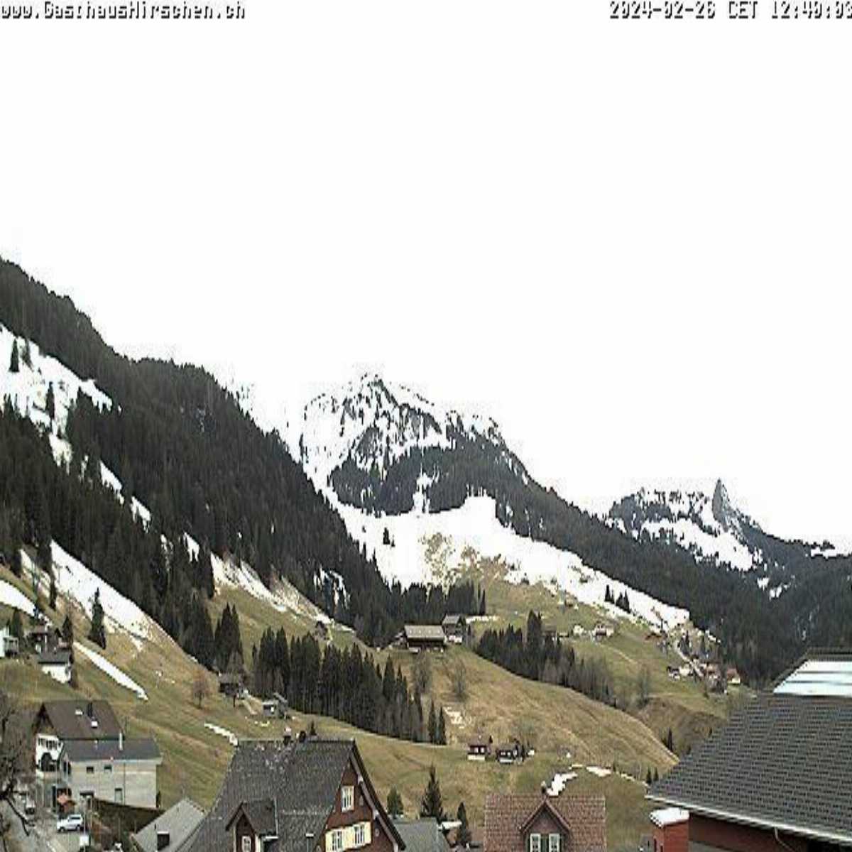 Alpthal webcam