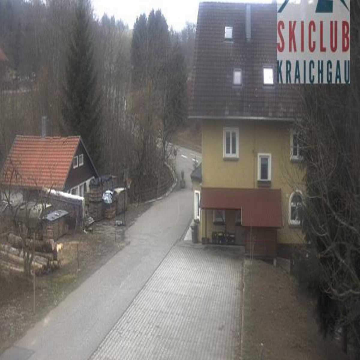 Zachenberg webcam