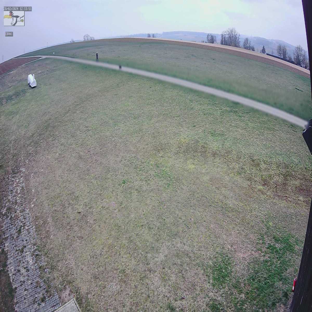 Schallstadt webcam