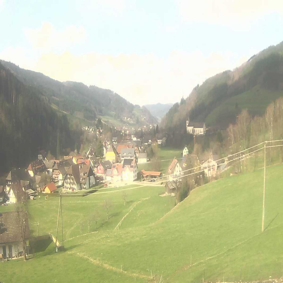 Schallstadt webcam
