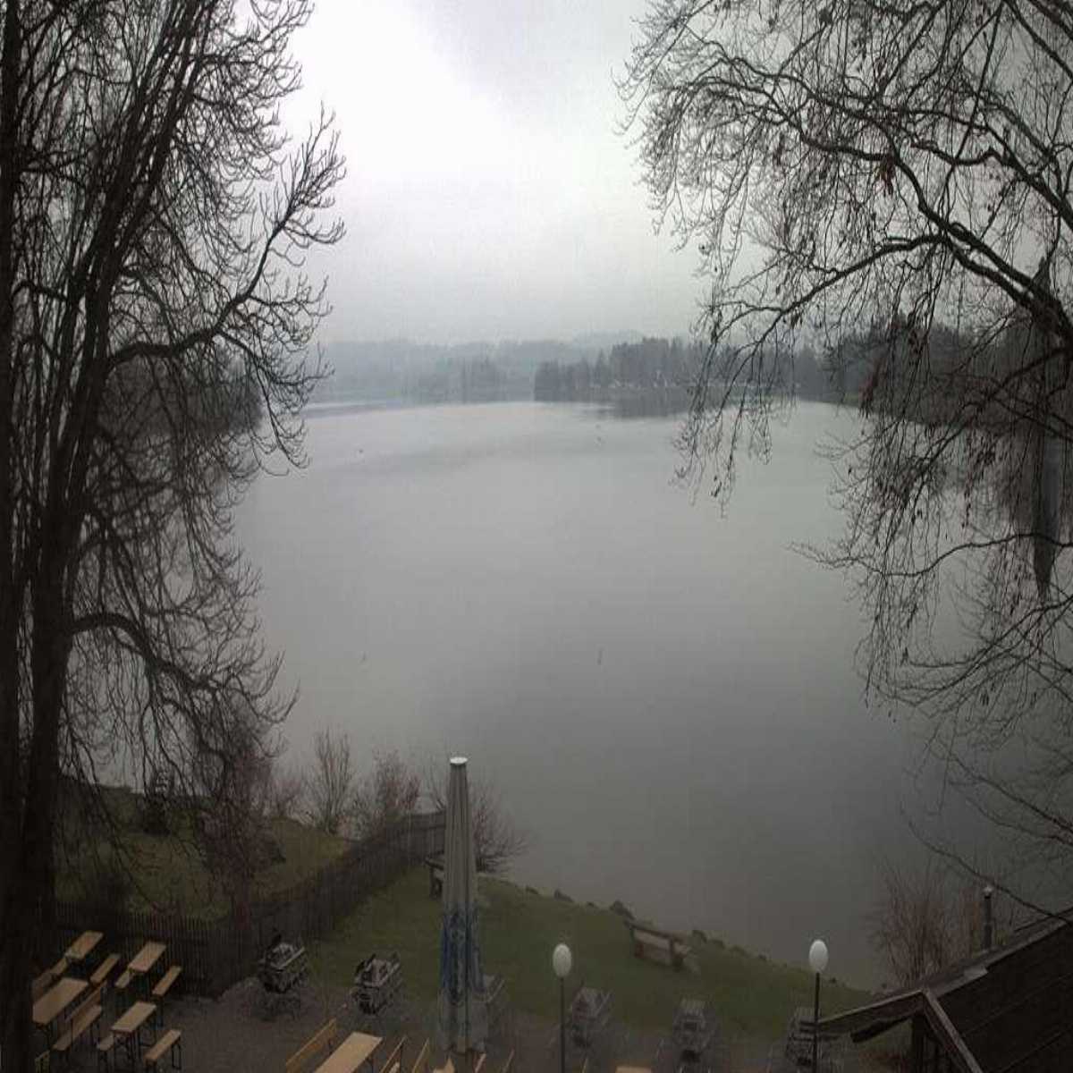 Zachenberg webcam