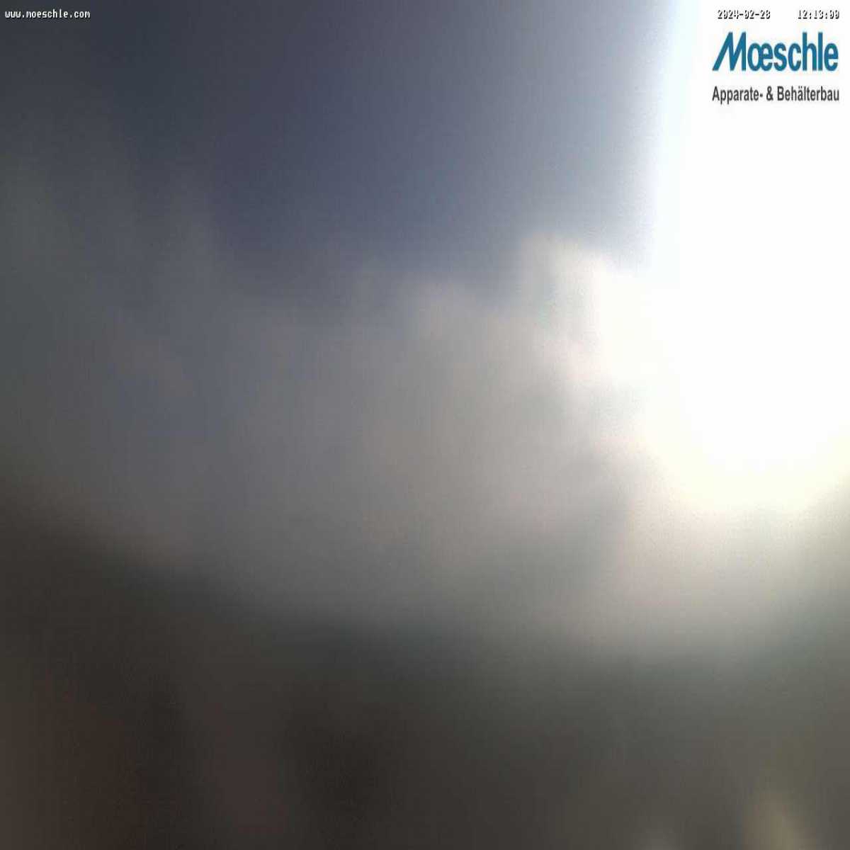 Schallstadt webcam