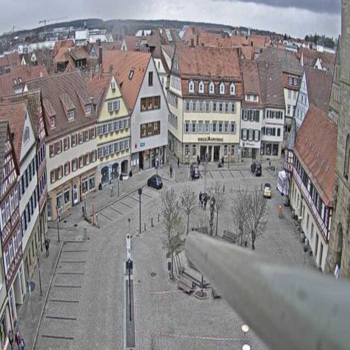 Schallstadt webcam