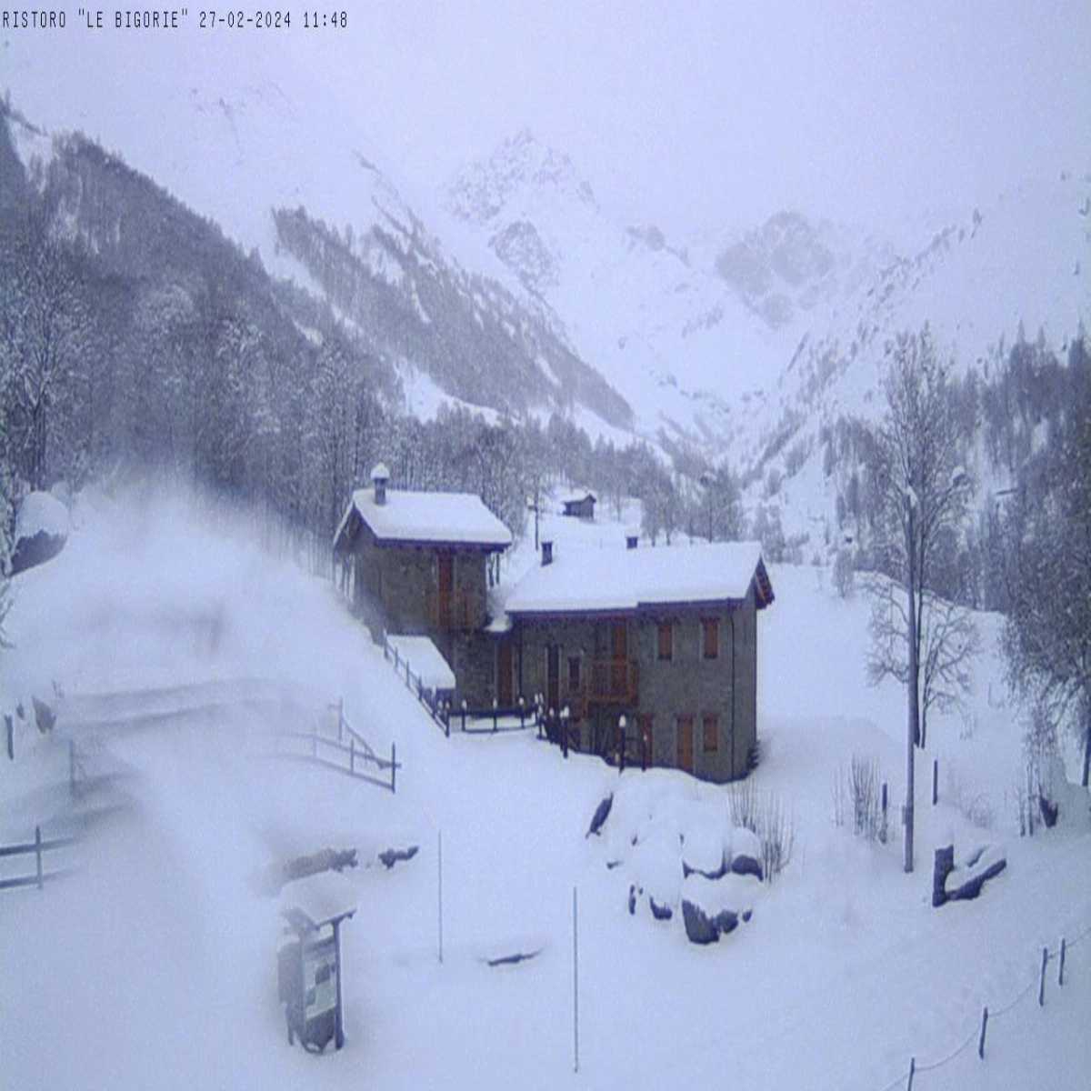 Chiappi webcam