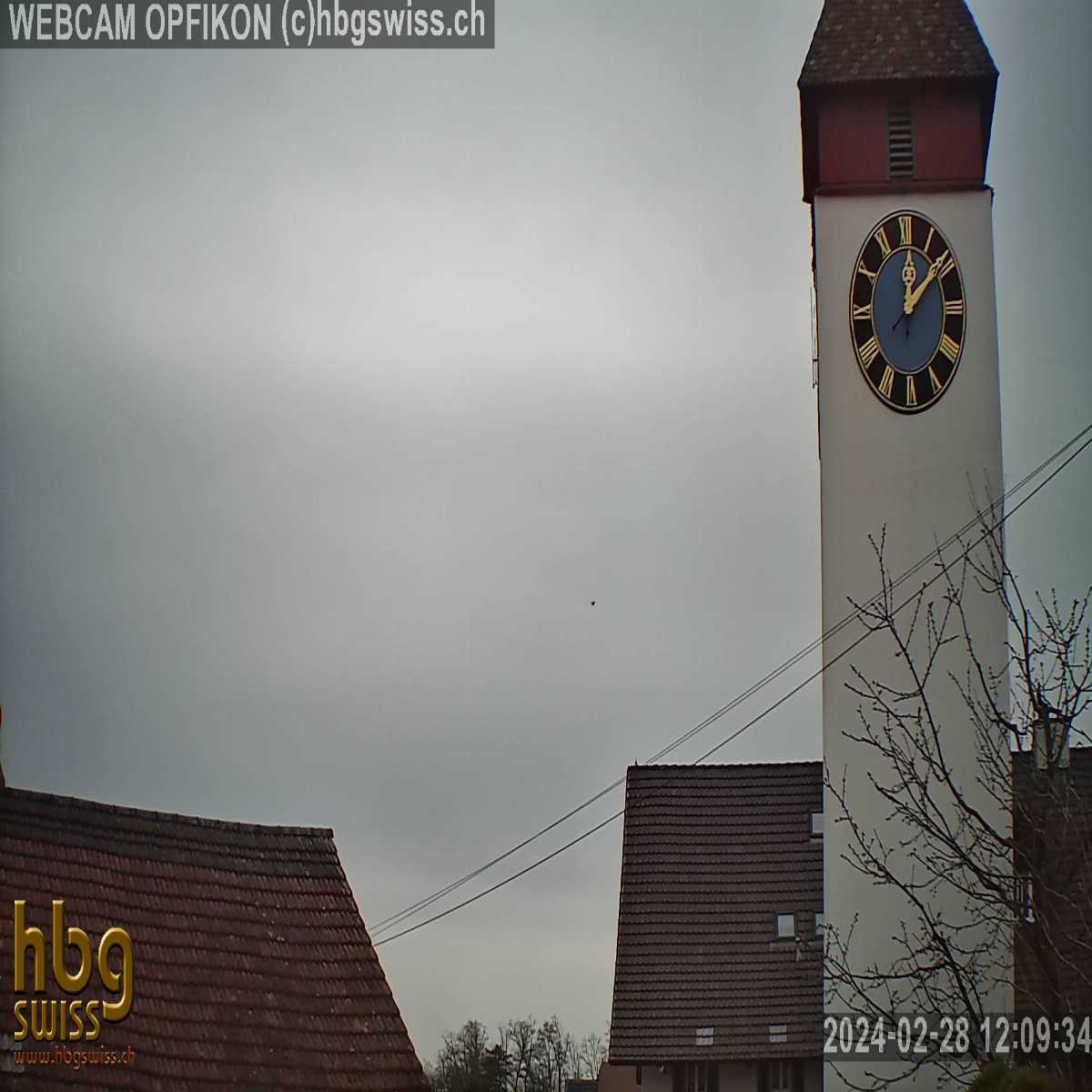 Richterswil webcam