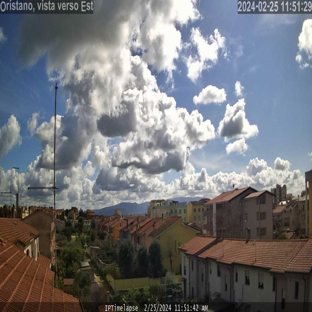 Tonara webcam