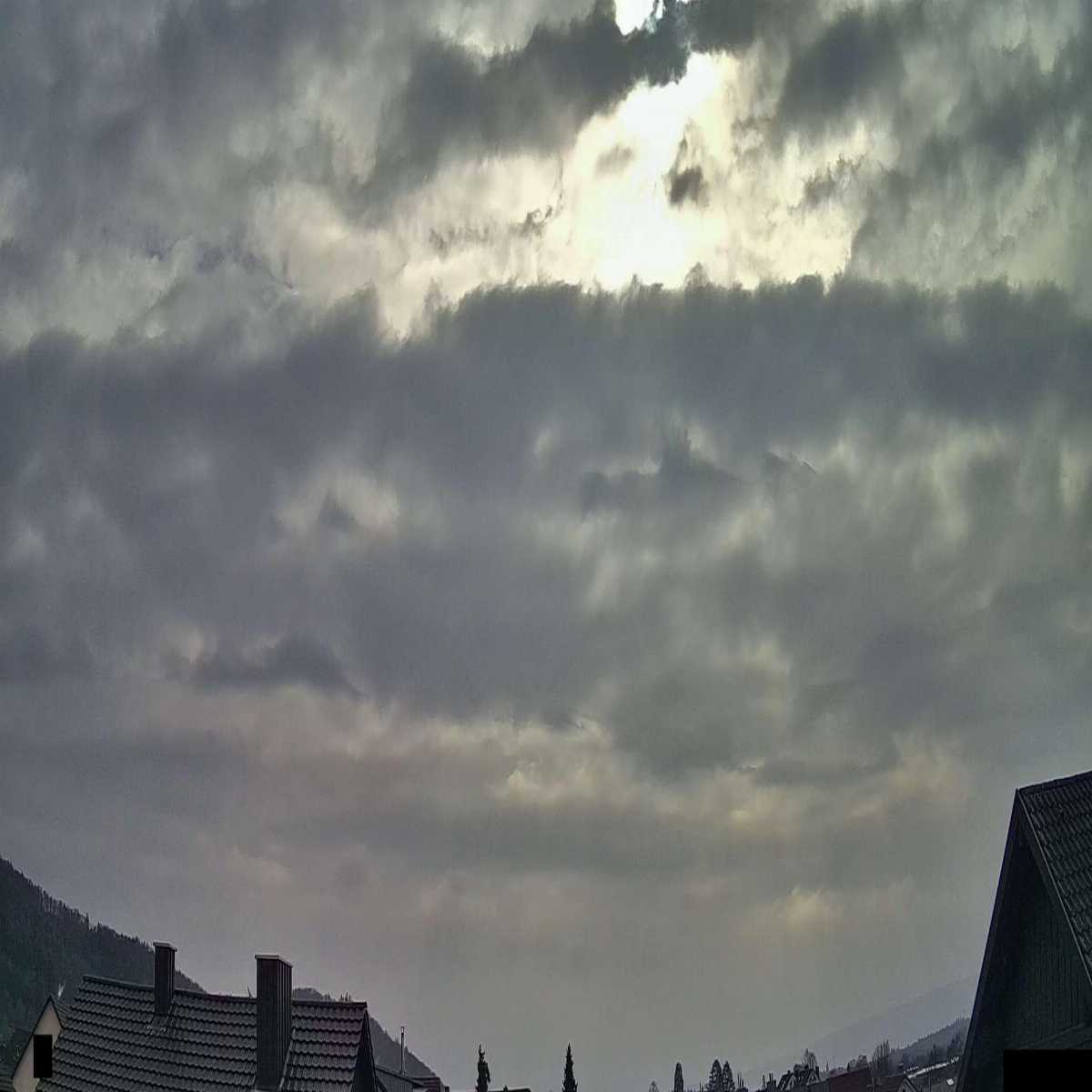 Schallstadt webcam