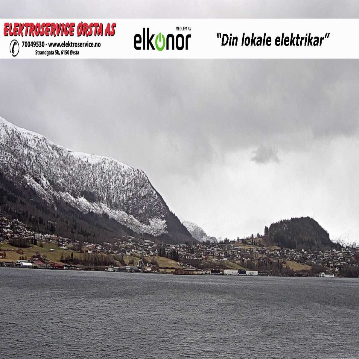 Eidsa webcam