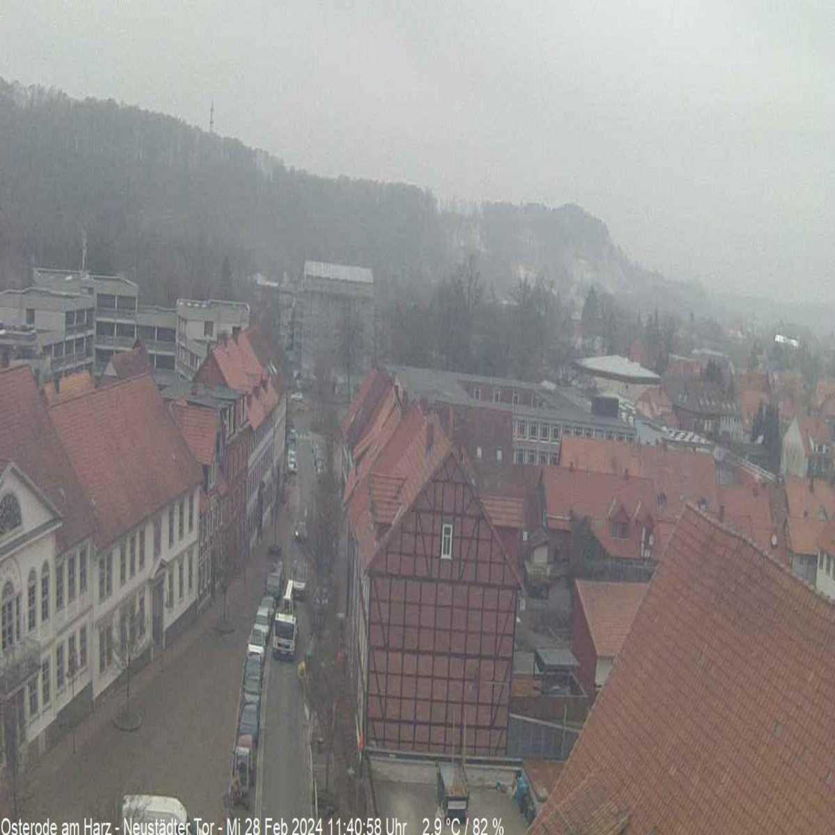 Reppenstedt webcam