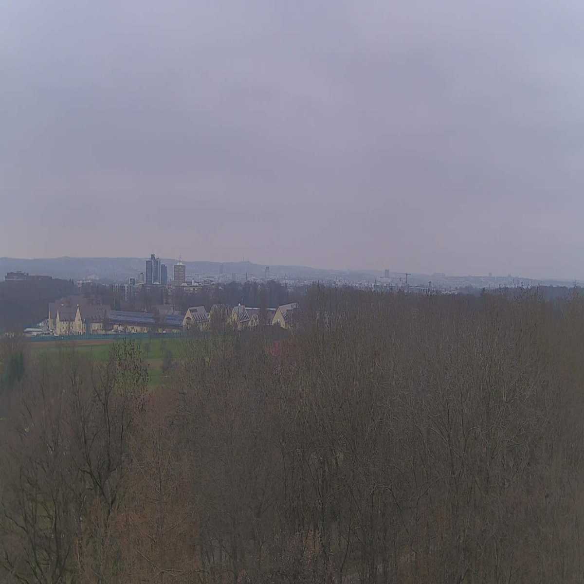 Schallstadt webcam