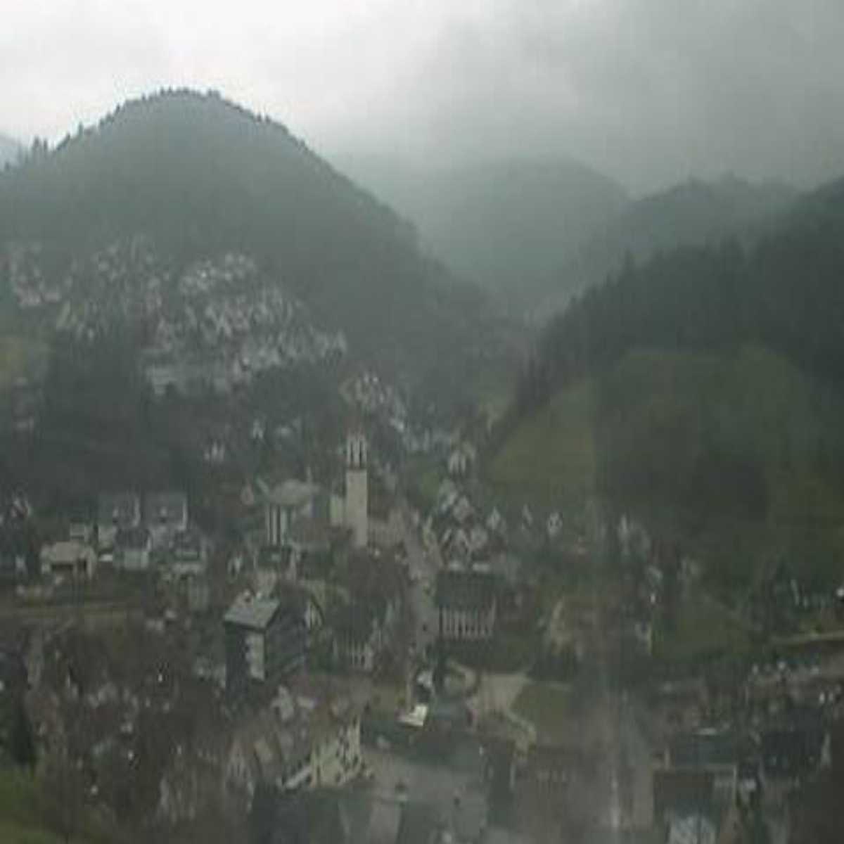Schallstadt webcam