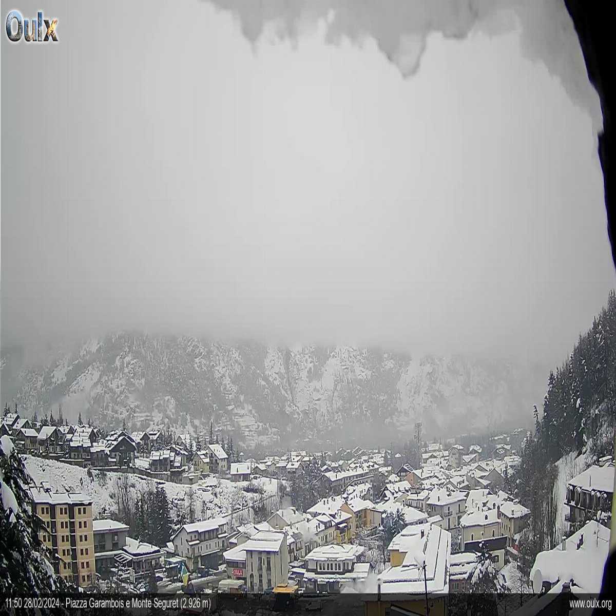 Chiappi webcam