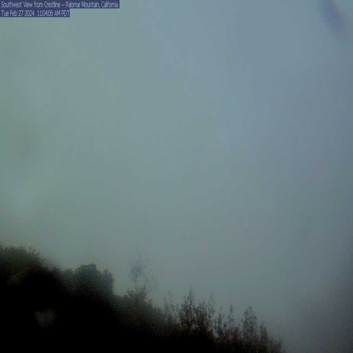 Walnut Creek webcam