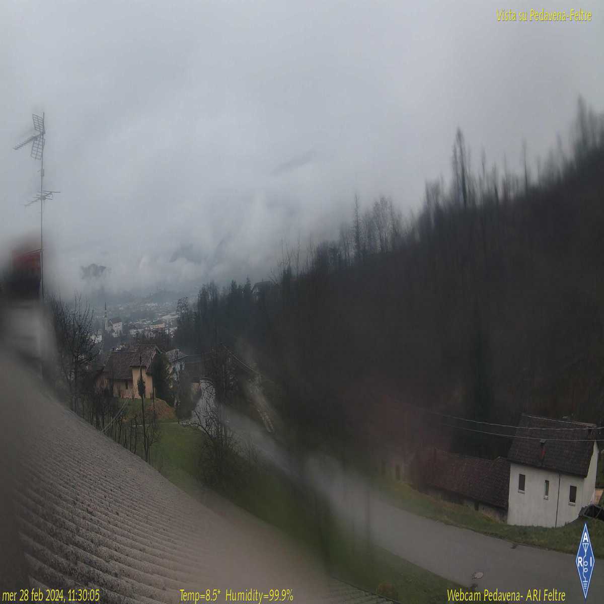Cittadella webcam