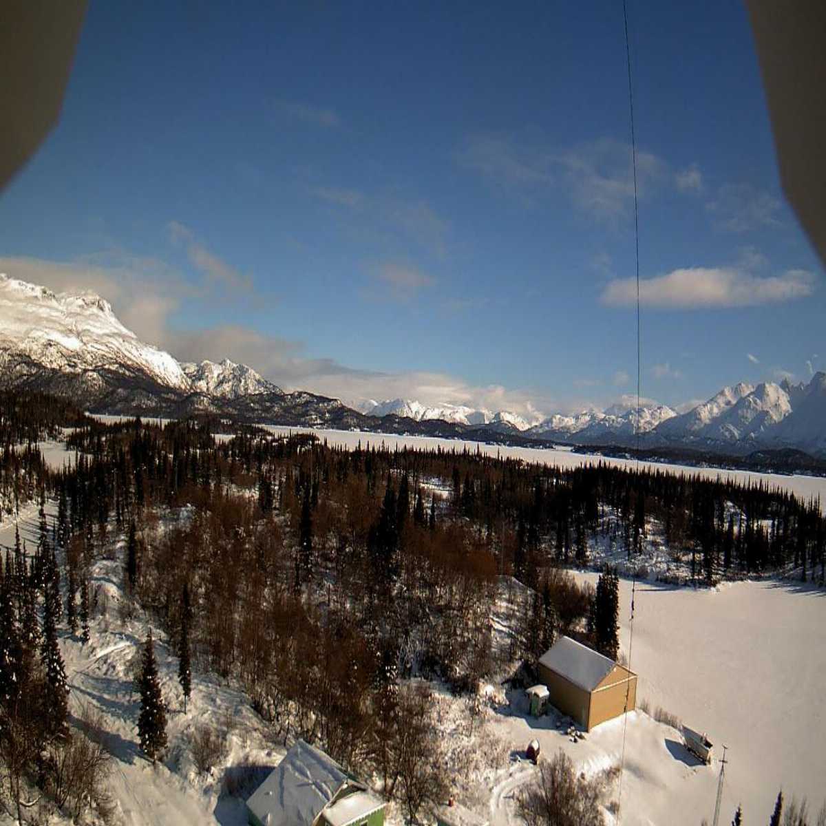 Homer webcam