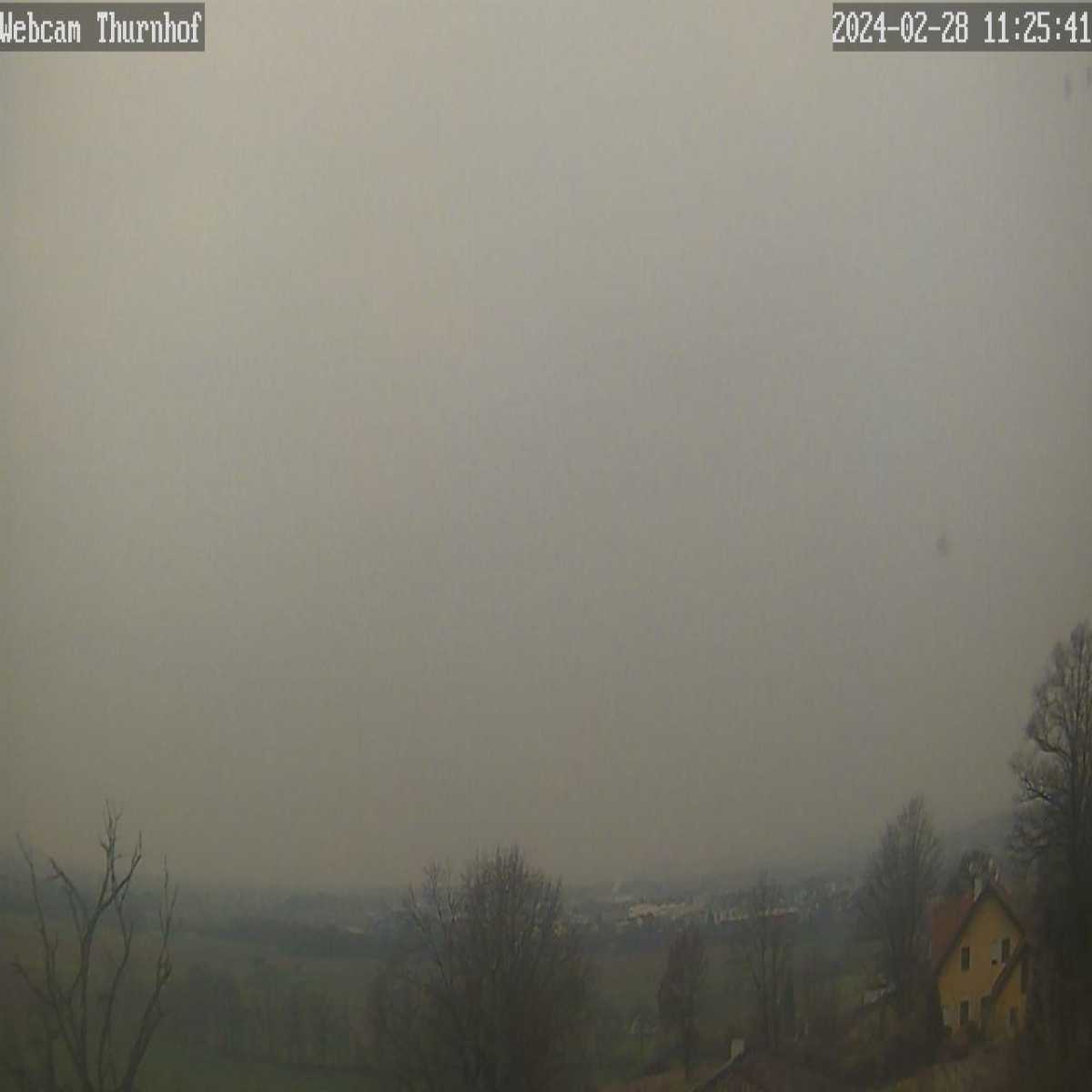 Perg webcam