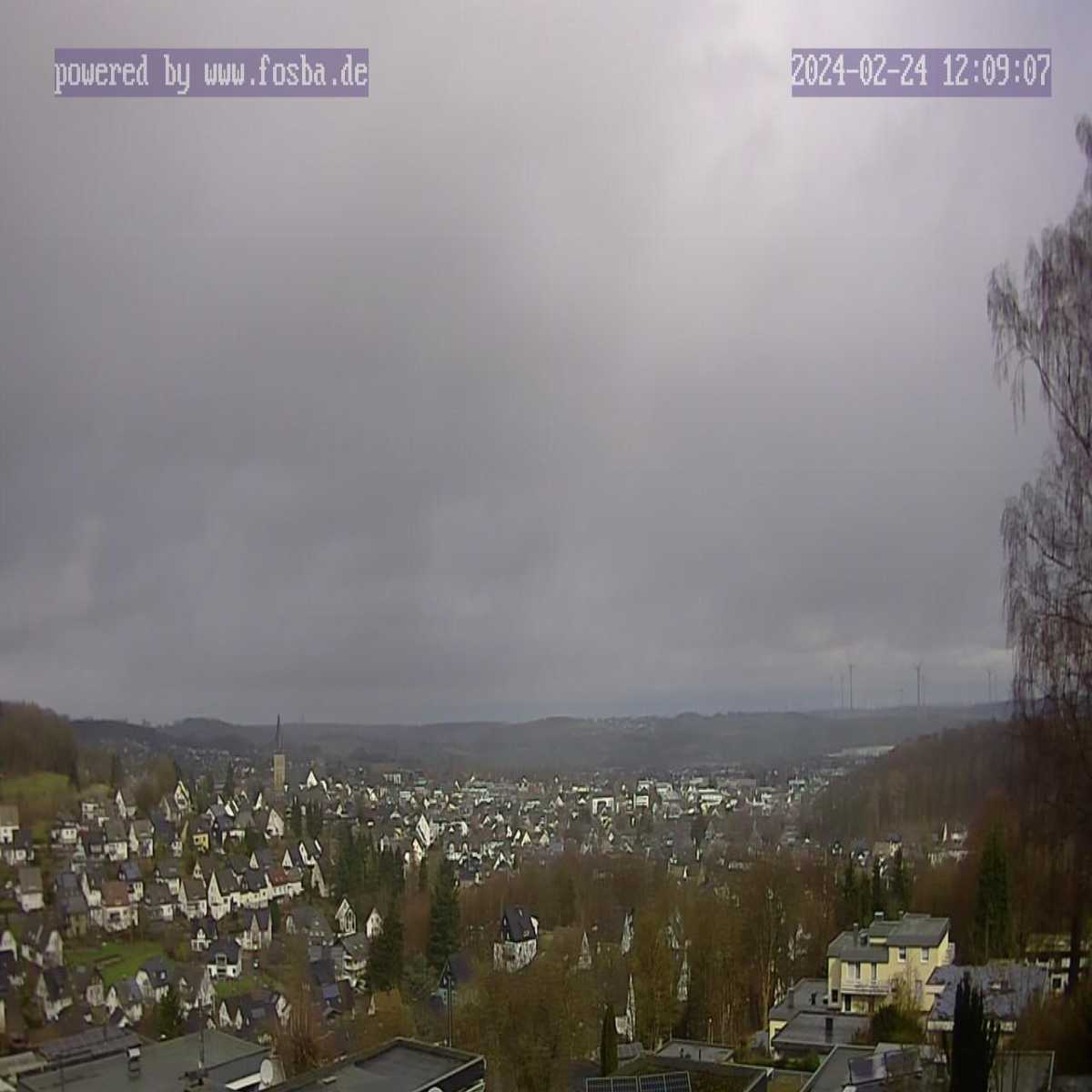 Riesenbeck webcam