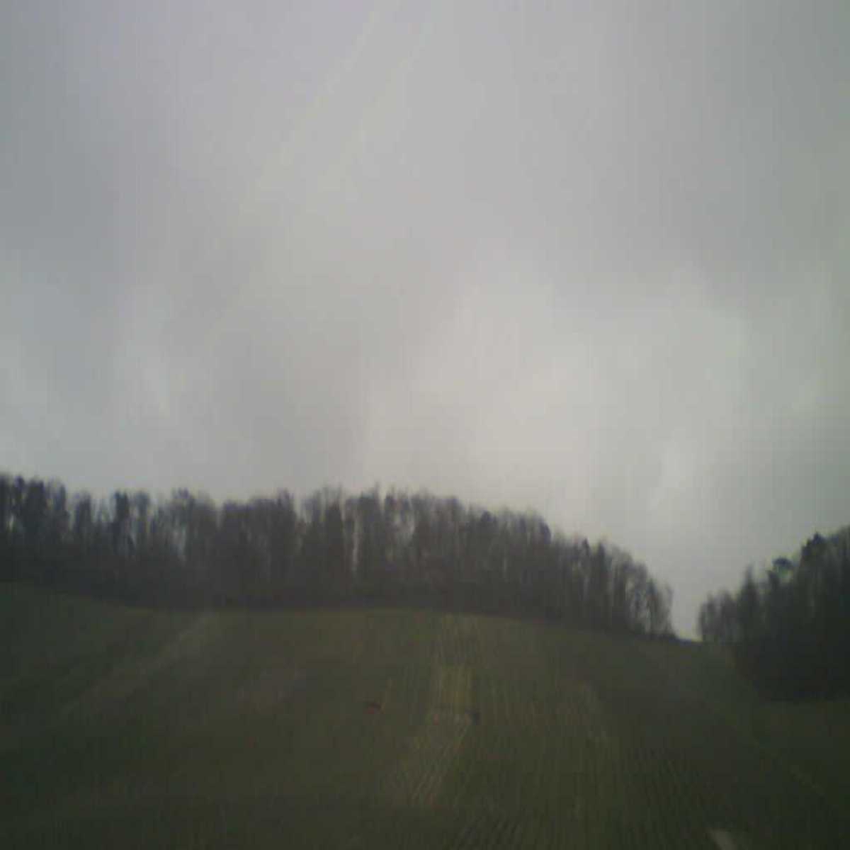 Schallstadt webcam