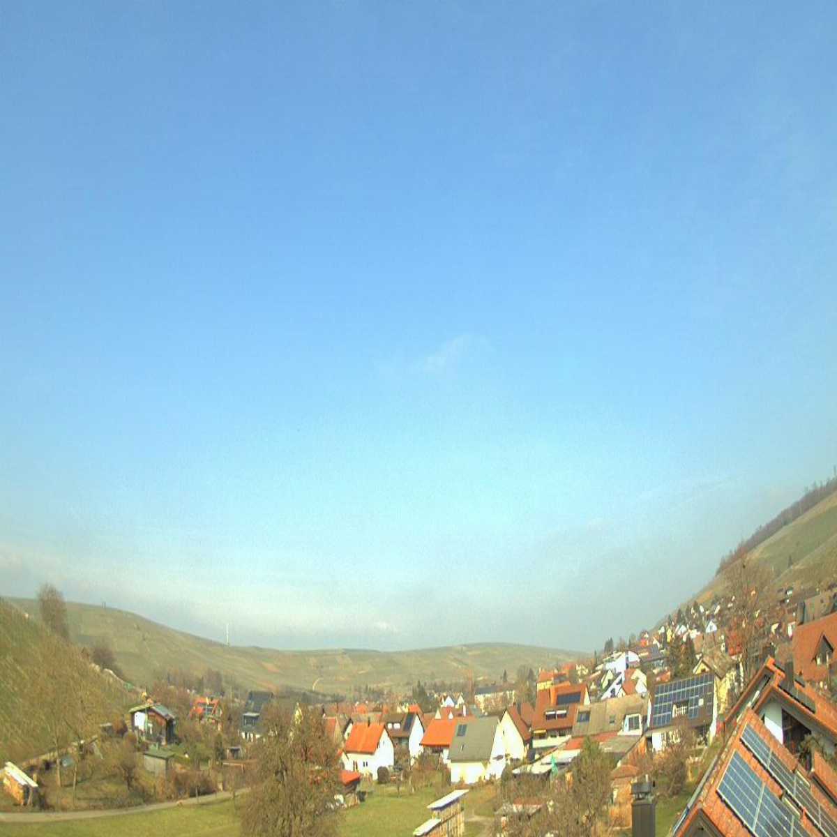 Schallstadt webcam
