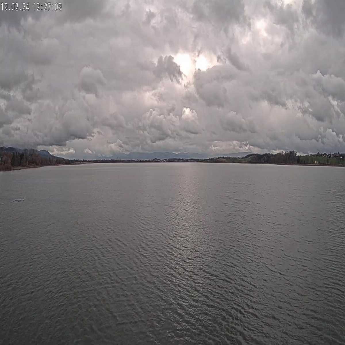 Richterswil webcam