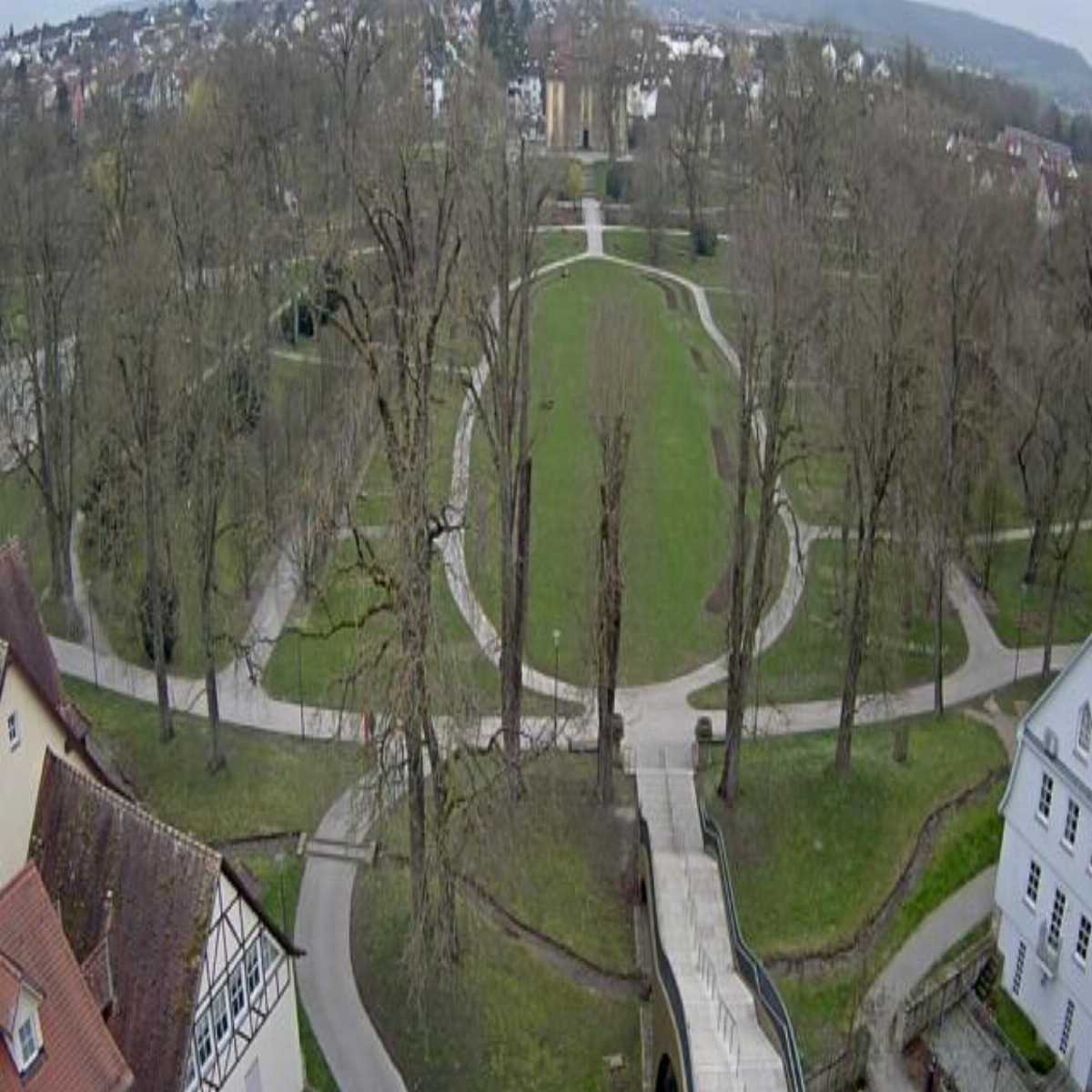 Schallstadt webcam