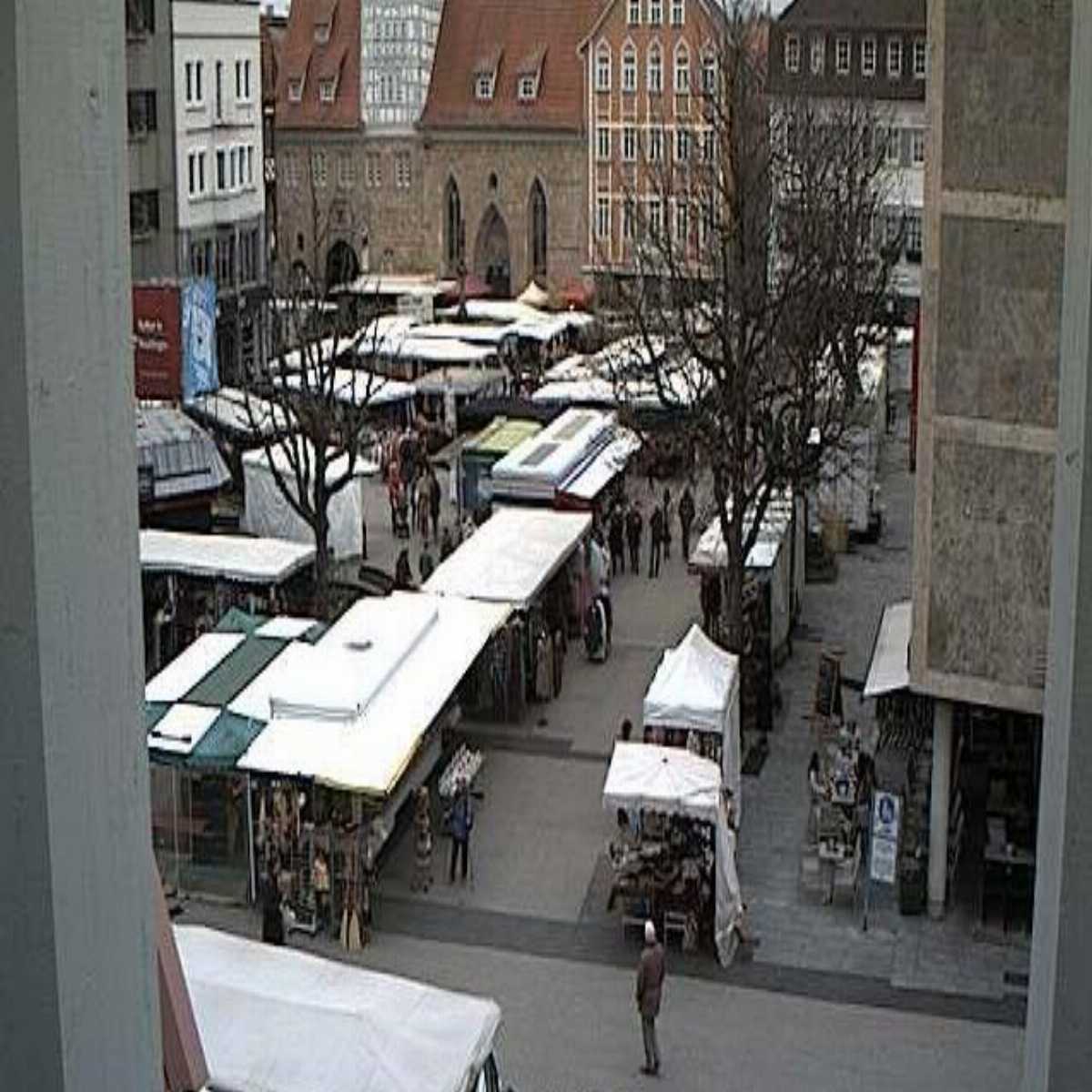 Schallstadt webcam