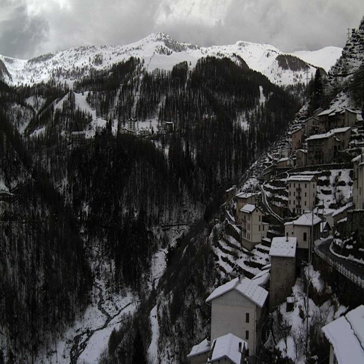 Chiappi webcam