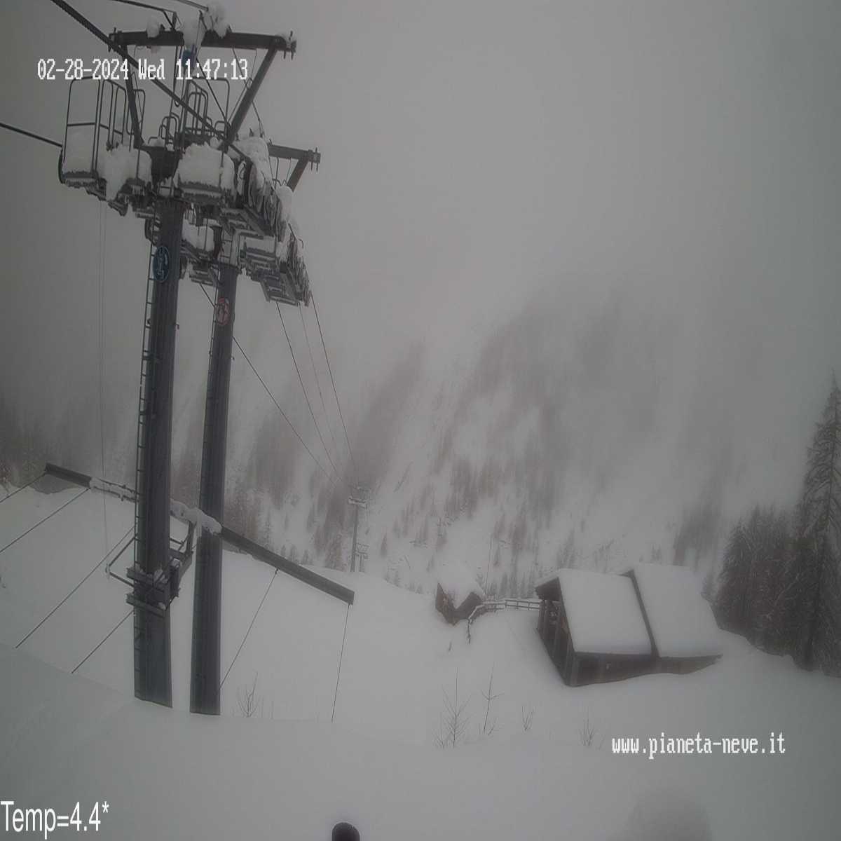 Chiappi webcam