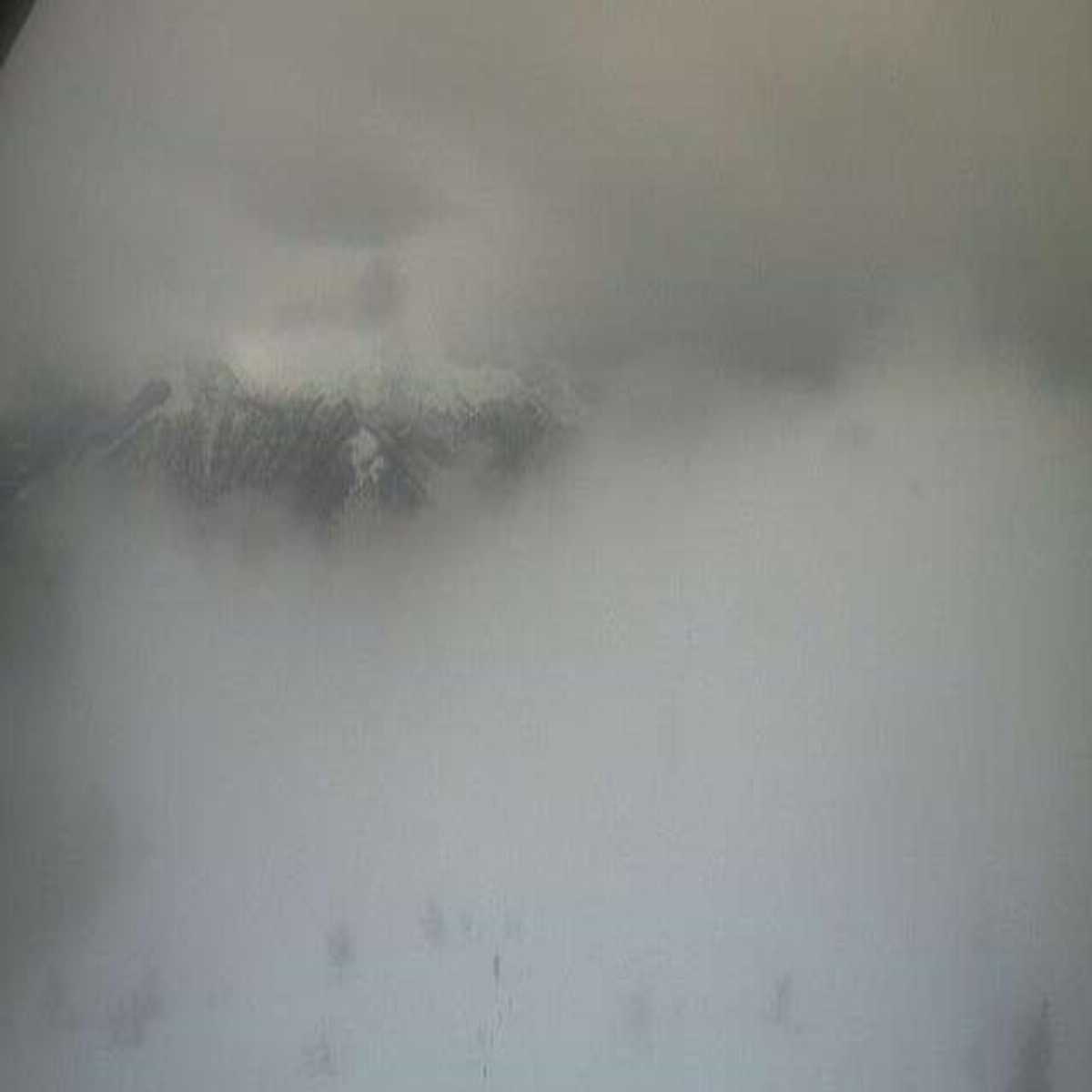 Chiappi webcam