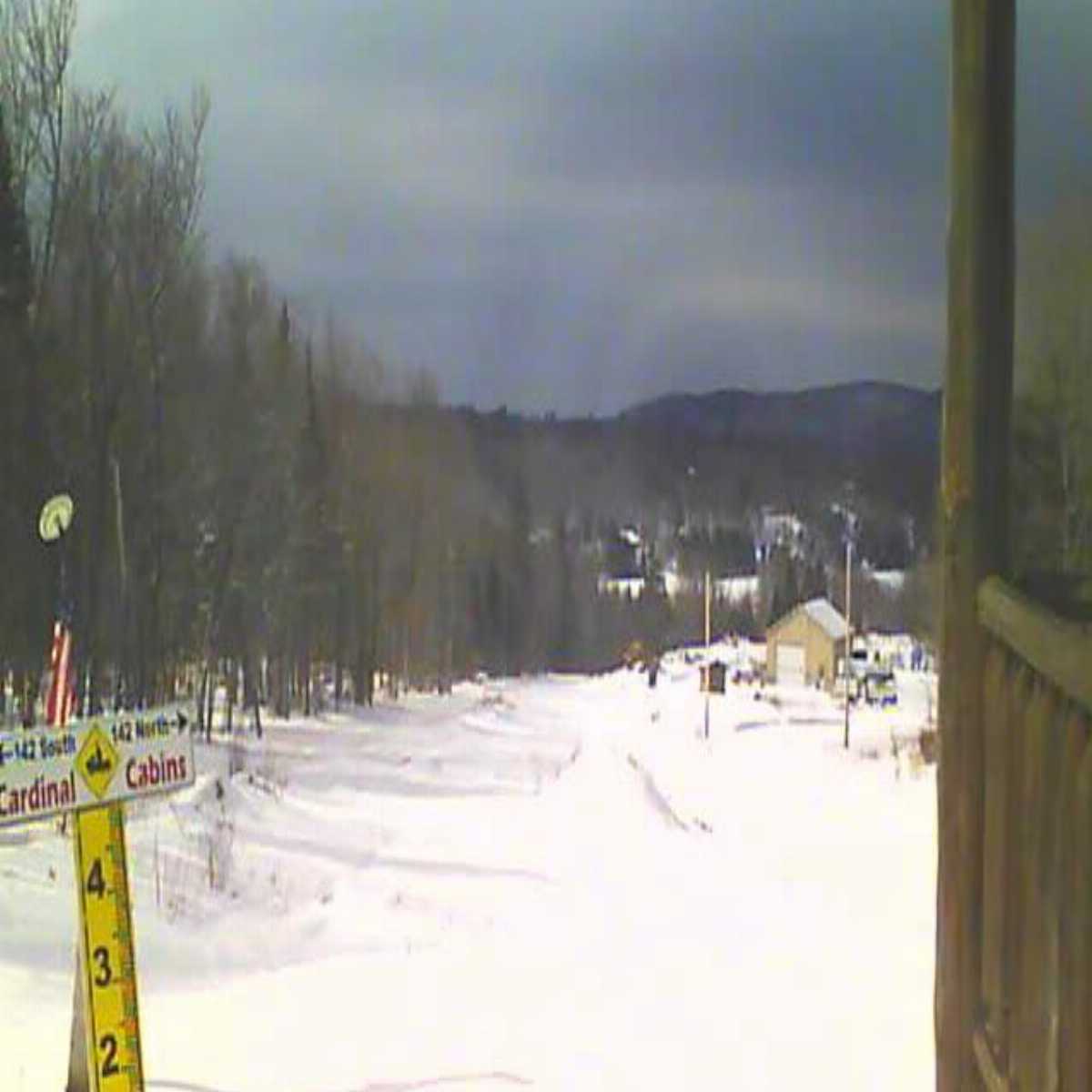 Walnut Creek webcam