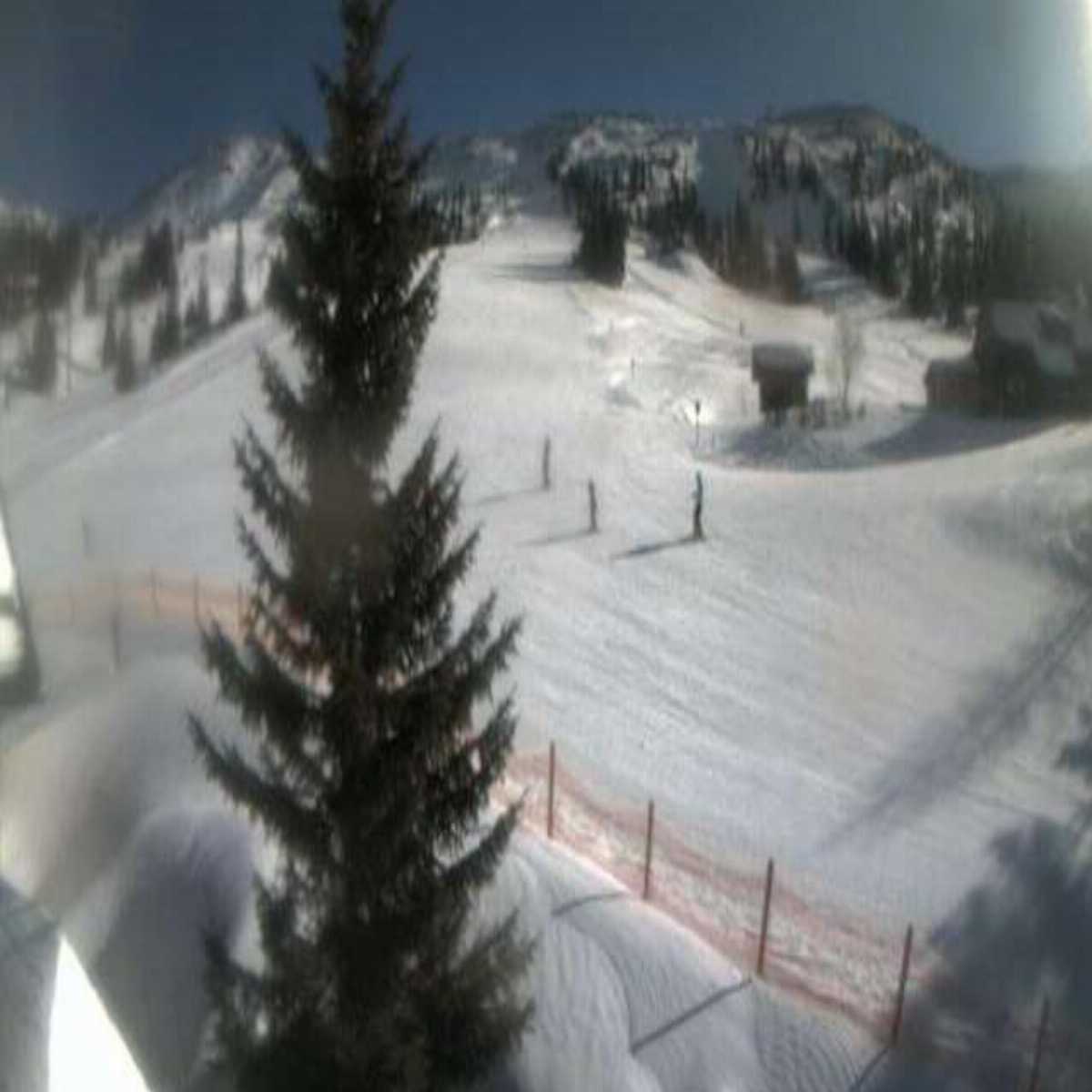 Leibnitz webcam