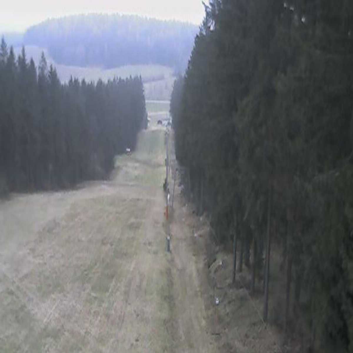 Zachenberg webcam