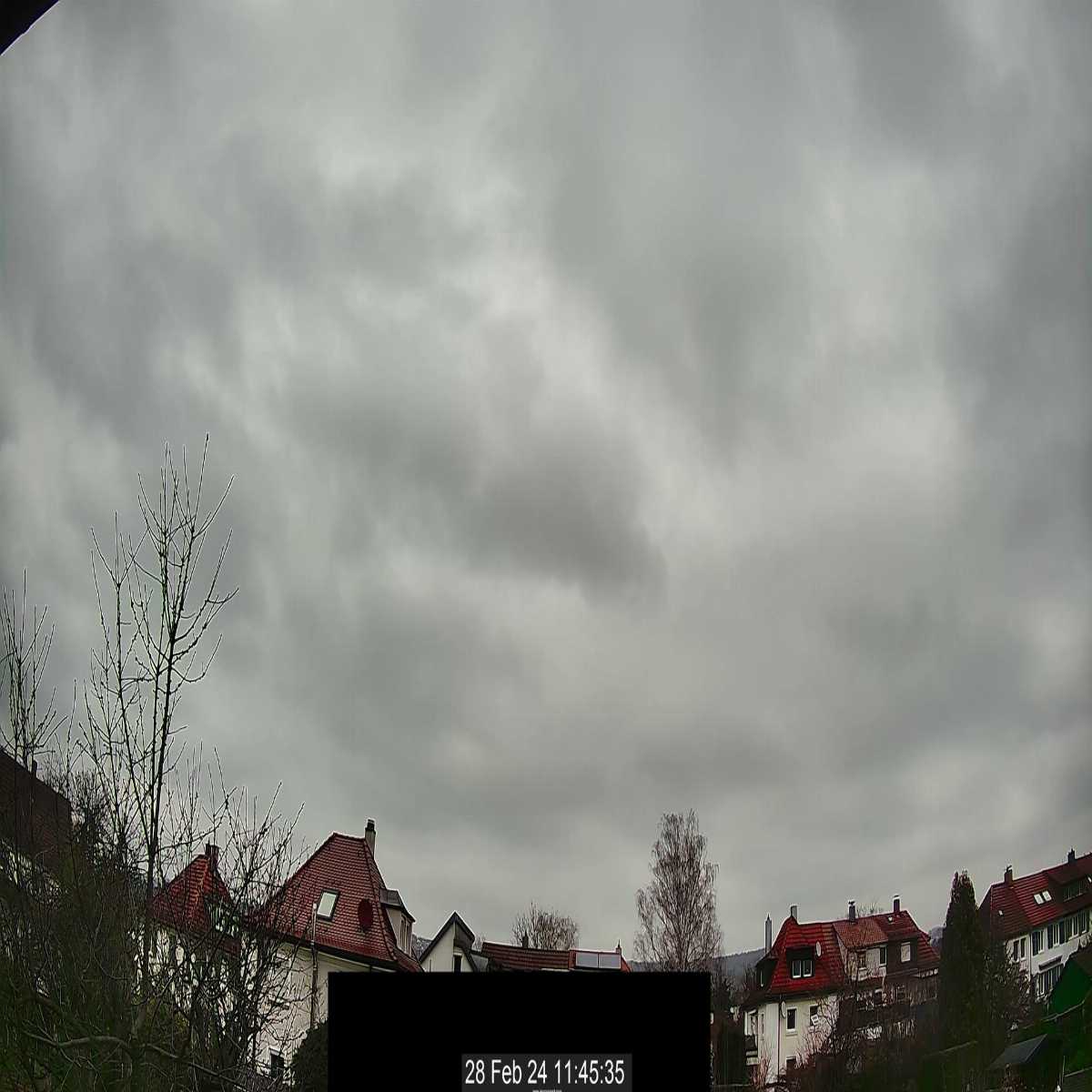 Schallstadt webcam